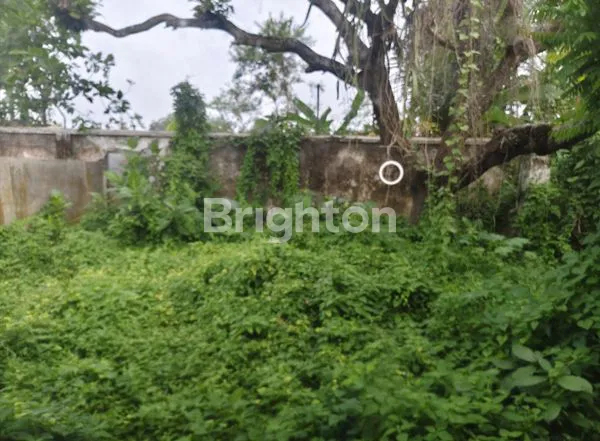 image RUMAH BESERTA LAHAN DALAM KOTA LUMAJANG (7)