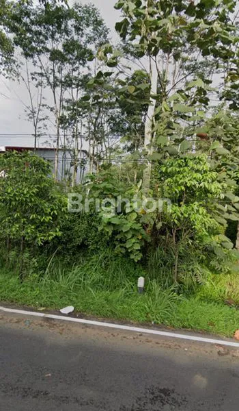 image TANAH DATAR SIAP BANGUN AREA DUKUH SIDOMUKTI SALATIGA (2)