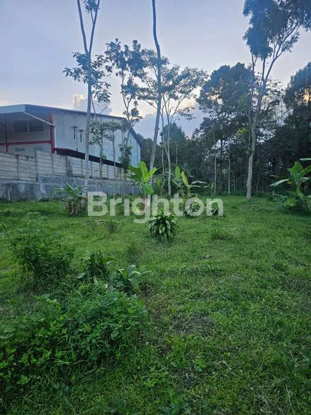 image TANAH DATAR SIAP BANGUN AREA DUKUH SIDOMUKTI SALATIGA (4)