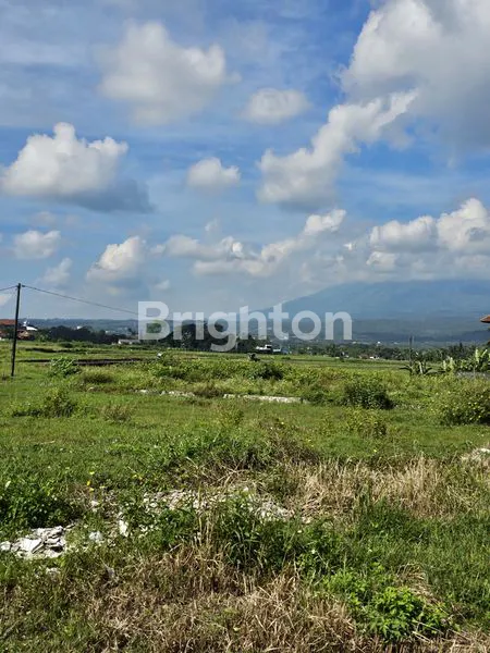 image TANAH DATAR SIAP BANGUN AREA SIDOREJO SALATIGA (3)