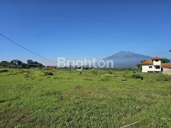 image TANAH DATAR SIAP BANGUN AREA SIDOREJO SALATIGA (4)