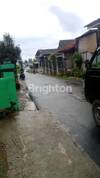 image KEBUN MURAH MERIAH BOGOR (1)