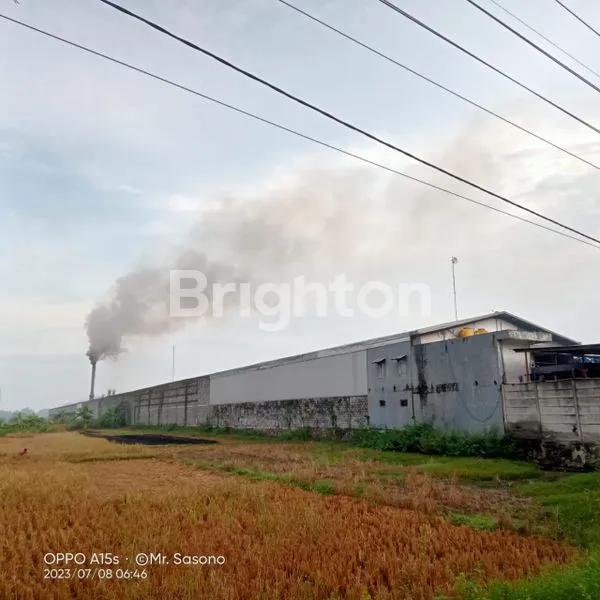 image EX PABRIK SIAP PAKAI (1)