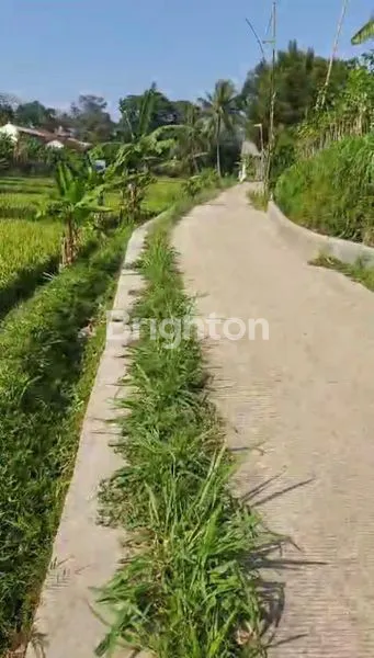 image SAWAH PRODUKTIF MATA AIR MURAH AIR MELIMPAH BOGOR (2)