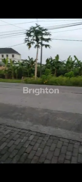 image TANAH SIAP BANGUN (1)