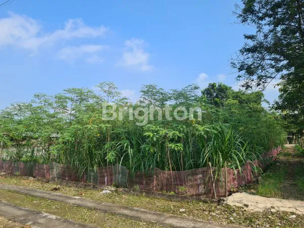 image DIJUAL TANAH PEKARANGAN STRATEGIS DI SIRAMAN KOTA WONOSARI GUNUNGKIDUL  (1)