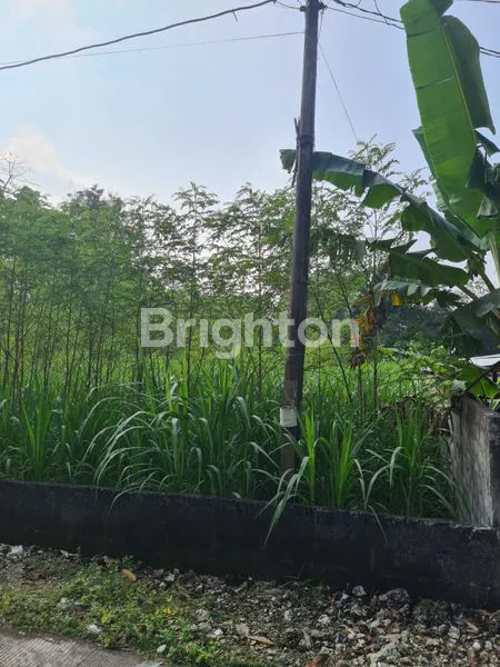 image DIJUAL TANAH PEKARANGAN STRATEGIS DI SIRAMAN KOTA WONOSARI GUNUNGKIDUL  (2)