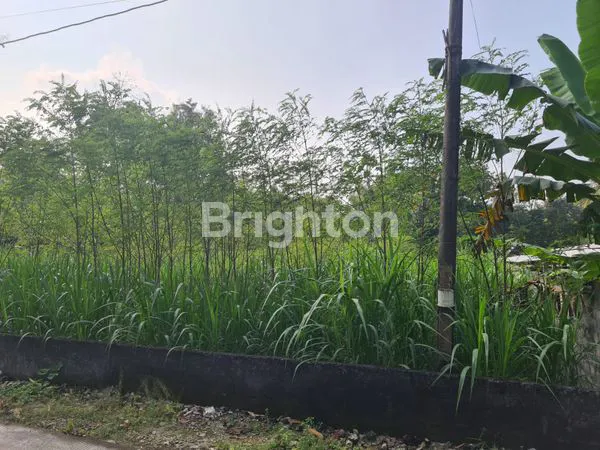 image DIJUAL TANAH PEKARANGAN STRATEGIS DI SIRAMAN KOTA WONOSARI GUNUNGKIDUL  (3)