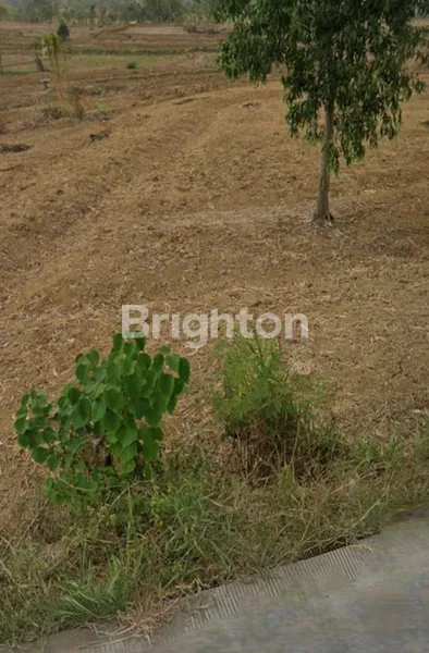 image TANAH AREA INDUSTRI MOJOKERTO COCOK UNTUK PEMBANGUNAN PABRIK (1)