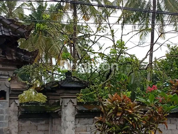 image 5000 SQM2 LAND FOR LEASE (3)