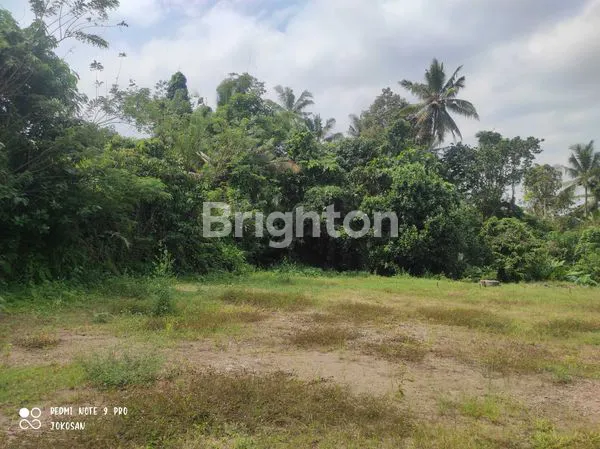 image TANAH PEKARANGAN LOKASI STRATEGIS SIAP BANGUN. (5)