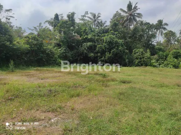 image TANAH PEKARANGAN LOKASI STRATEGIS SIAP BANGUN. (4)