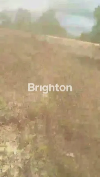 image TANAH DI JUAL  DI KARIANGAU  (2)