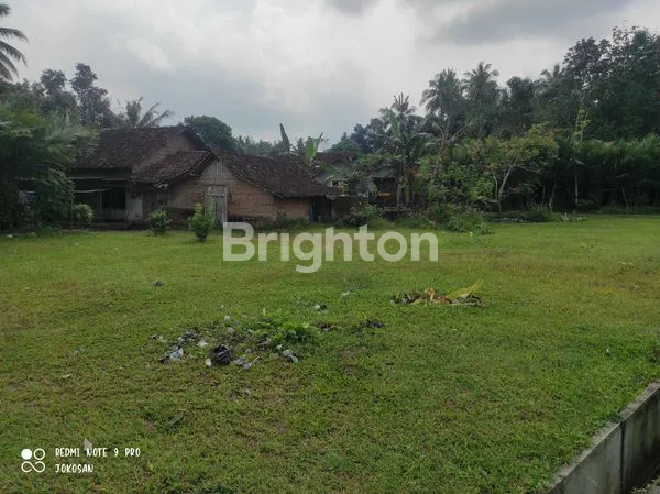 image TANAH  PEKARANGAN STRATEGIS DAPAT 2 JALAN MASUK. (5)