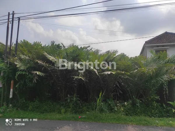 image TANAH STRATEGIS PINGGIR JALAN KABUPATEN. (1)