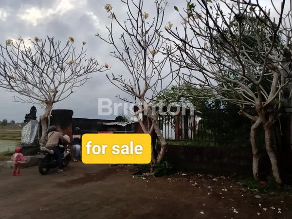 DIJUAL TANAH FULL VIEW SAWAH MENGWI KAPAL
