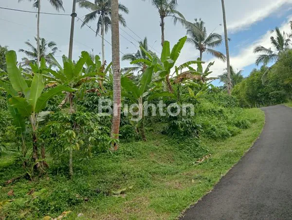 image TANAH PERKEBUNAN MURAH FULL ISI SIAP PANEN AREA SELEMADEG (1)