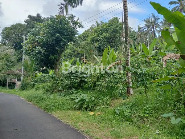 image TANAH PERKEBUNAN MURAH FULL ISI SIAP PANEN AREA SELEMADEG (2)
