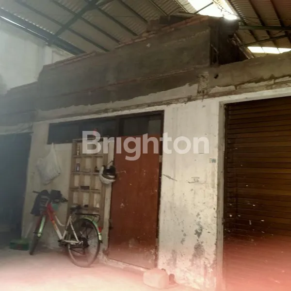 image KAPAS MADYA KEDUNG COWEK KENJERAN (2)