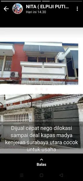 image KAPAS MADYA KEDUNG COWEK KENJERAN (1)