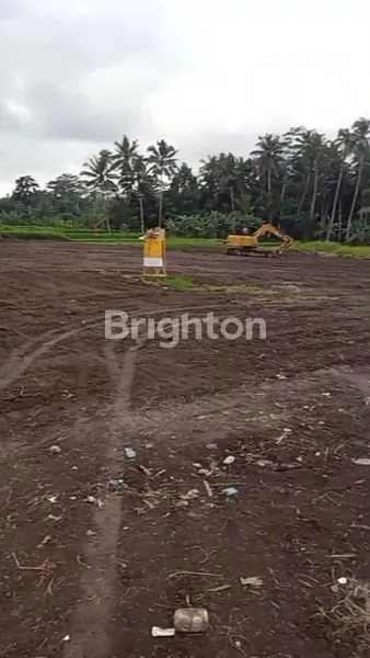 image TANAH VIEW HUTAN ,& SAWAH  CANTIK MURAH 14 ARE  SIAP BANGUN  – UBUD, PEJENG TAMPAKSIRING, GIANYAR BALI (4)