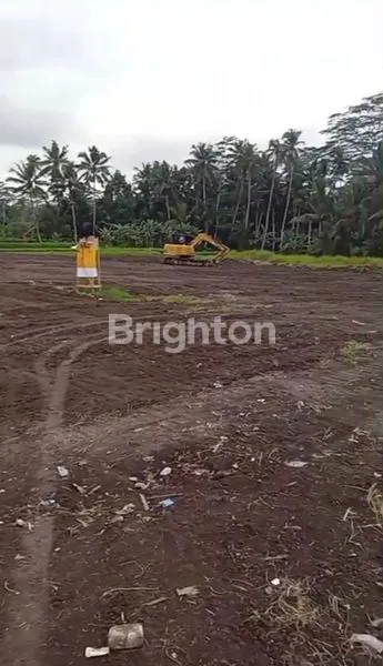 image TANAH VIEW HUTAN ,& SAWAH  CANTIK MURAH 14 ARE  SIAP BANGUN  – UBUD, PEJENG TAMPAKSIRING, GIANYAR BALI (3)