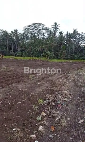 image TANAH VIEW HUTAN ,& SAWAH  CANTIK MURAH 14 ARE  SIAP BANGUN  – UBUD, PEJENG TAMPAKSIRING, GIANYAR BALI (2)