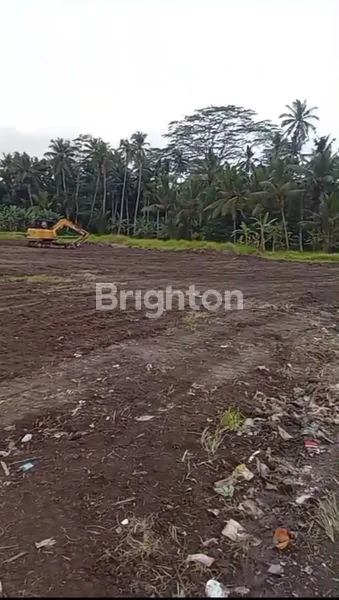 image TANAH VIEW HUTAN ,& SAWAH  CANTIK MURAH 14 ARE  SIAP BANGUN  – UBUD, PEJENG TAMPAKSIRING, GIANYAR BALI (1)
