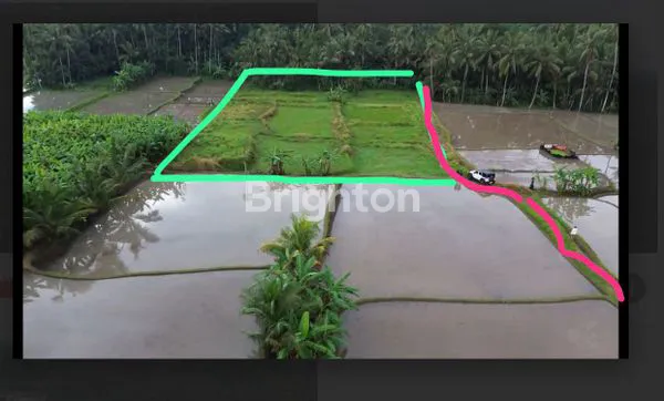 image TANAH VIEW HUTAN ,& SAWAH  CANTIK MURAH 14 ARE  SIAP BANGUN  – UBUD, PEJENG TAMPAKSIRING, GIANYAR BALI (5)