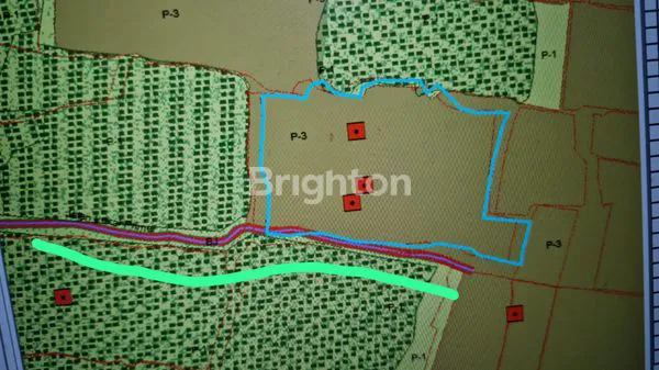 image TANAH VIEW HUTAN ,& SAWAH  CANTIK MURAH 14 ARE  SIAP BANGUN  – UBUD, PEJENG TAMPAKSIRING, GIANYAR BALI (6)