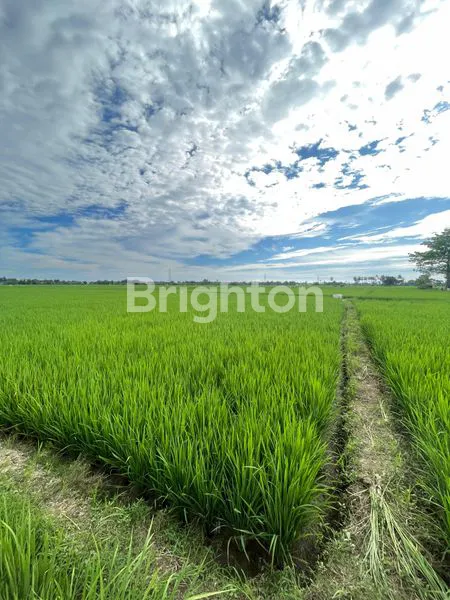 TANAH SAWAH DAERAH BAROMBONG