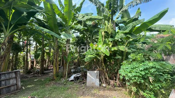 TANAH PROSPEKTIF DI PERUM IKIP RUNGKUT, SURABAYA - LOKASI STRATEGIS, SHM, SIAP BANGUN