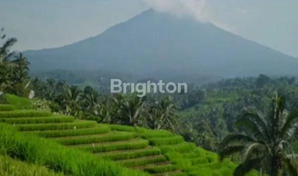 image LAHAN DI KAKI GUNUNG BATUKARU (1)
