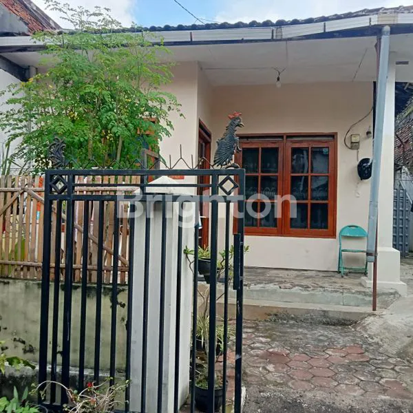 image RUMAH LT 131 SHM DI JL SELOREJO (1)