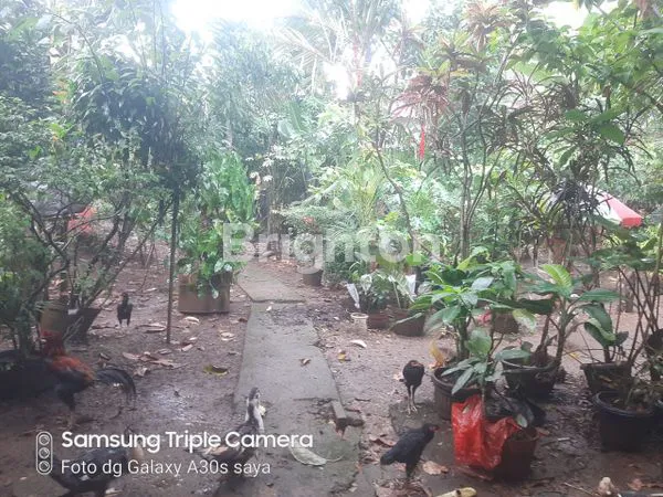 image 2 RUMAH BAGUS SIAP HUNI DENGAN HALAMAN LUAS  DI SAMPING KAMPUS VOKASI IPB BOGOR (6)