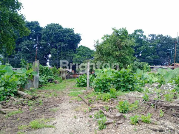 image TANAH PREMIUM JL RAYA BOGOR JAKARTA CIBULUH BOGOR (6)