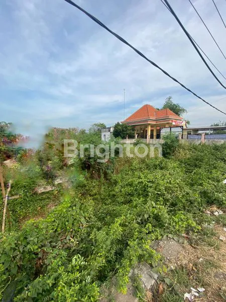 image TANAH AREA IKER IKER CERME GRESIK (1)