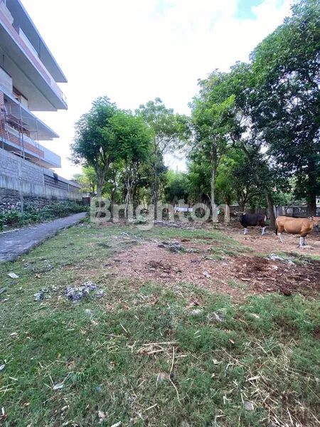 image FOR LEASE – 21 ARE LAND IN BINGIN VILLAGE | TOURISM ZONE | OCEAN & VOLCANO VIEW | IDEAL FOR PRIVATE ESTATE OR BOUTIQUE DEVELOPMENT (2)