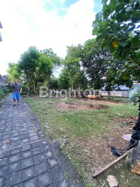 image FOR LEASE – 21 ARE LAND IN BINGIN VILLAGE | TOURISM ZONE | OCEAN & VOLCANO VIEW | IDEAL FOR PRIVATE ESTATE OR BOUTIQUE DEVELOPMENT (6)