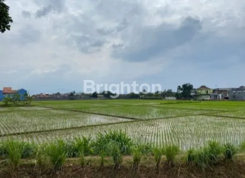 image TANAH SAWAH DI GEDEBAGE BANDUNG (1)