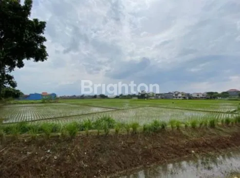 image TANAH SAWAH DI GEDEBAGE BANDUNG (2)