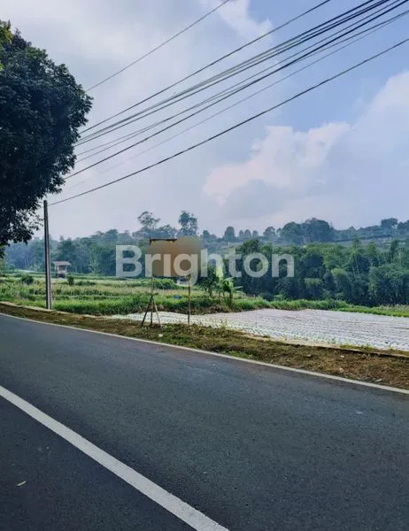 image TANAH SUBUR LUAS TANAH 10.000 MAINROAD (1)
