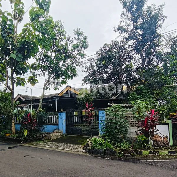 image RUMAH HOOK DI DANAU LIMBOTO SAWOJAJAR (1)