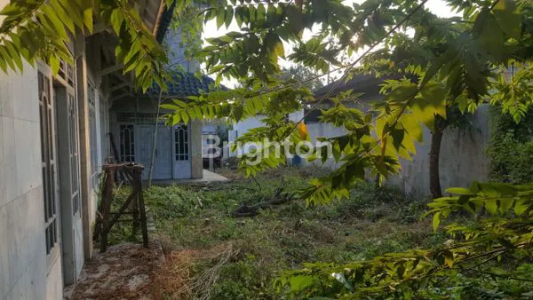 image RUMAH DENGAN TANAH YG LUAS DI TANJUNG BARU BANDAR LAMPUNG (6)