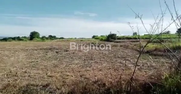 image TANAH LUMBANG SUHI  (3)