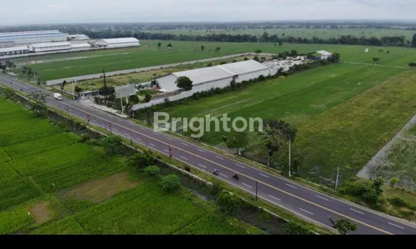 image TANAH DI ZONA INDUSTRI MADIUN DEKAT EXIT TOL (2)