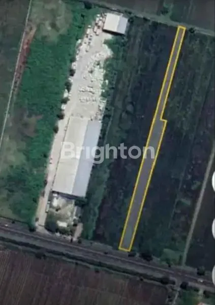 image TANAH DI ZONA INDUSTRI MADIUN DEKAT EXIT TOL (3)