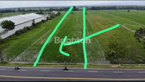 image TANAH DI ZONA INDUSTRI MADIUN DEKAT EXIT TOL (4)