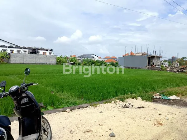 image DISEWAKAN TANAH PURA DEMAK DPS  (2)