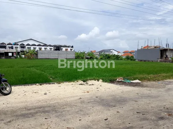 image DISEWAKAN TANAH PURA DEMAK DPS  (3)